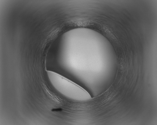X0000054360639200507290806
