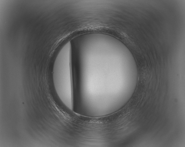 X0000054360640200507290806