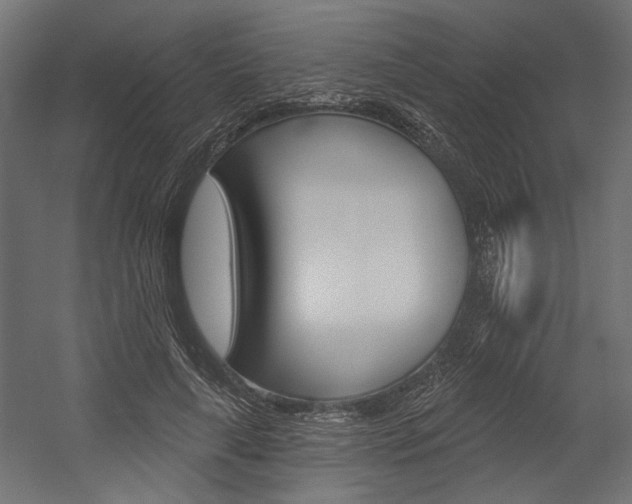 X0000054360643200507290806