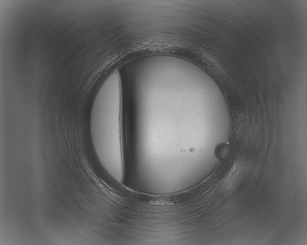 X0000054360644200507290806