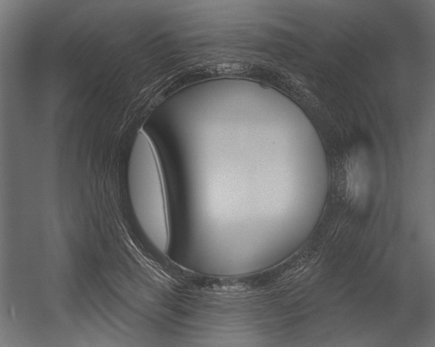 X0000054360645200507290806