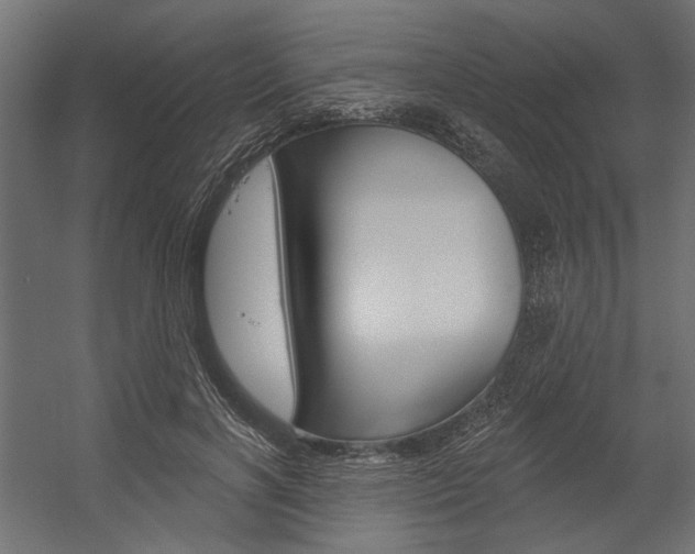 X0000054360646200507290806