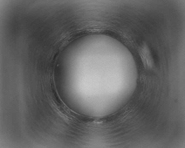 X0000054360647200507290806