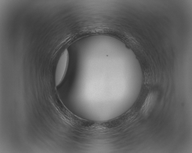 X0000054360648200507290806