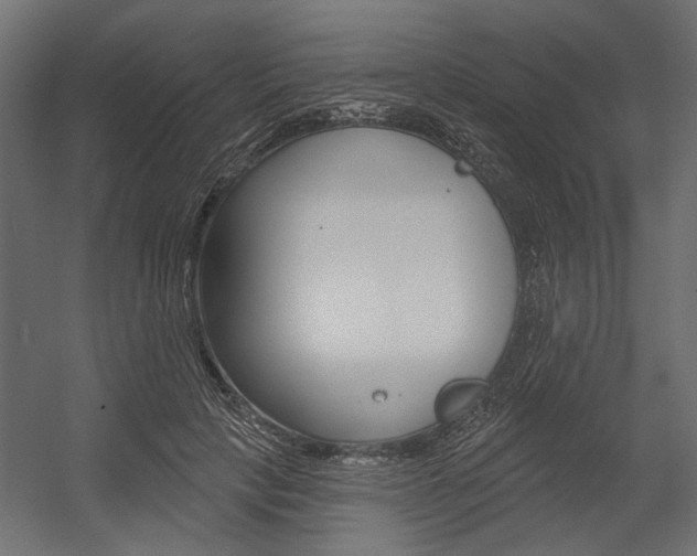 X0000054360649200507290806