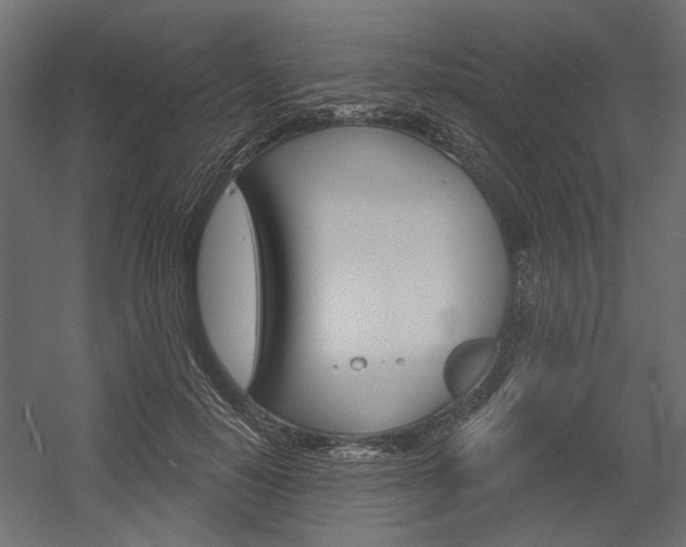 X0000054360650200507290806
