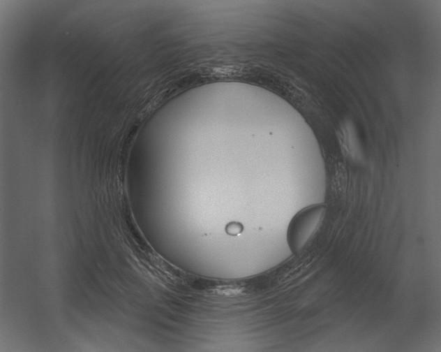 X0000054360651200507290806