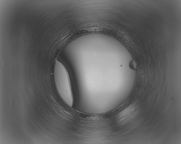 X0000054360652200507290806