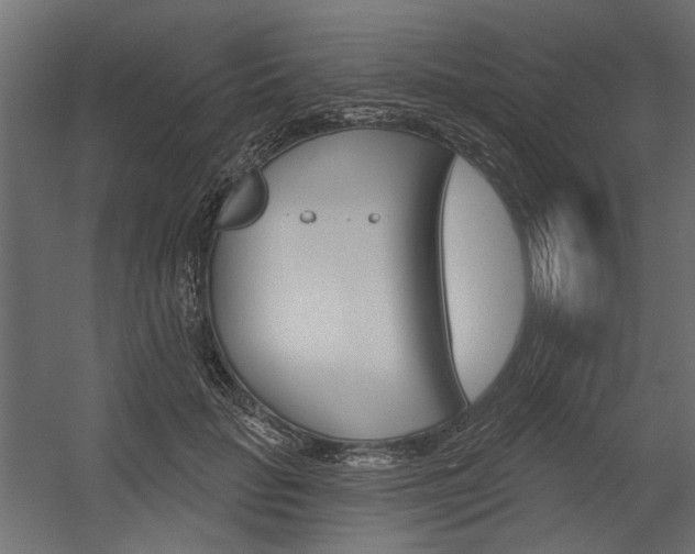 X0000054360653200507290806