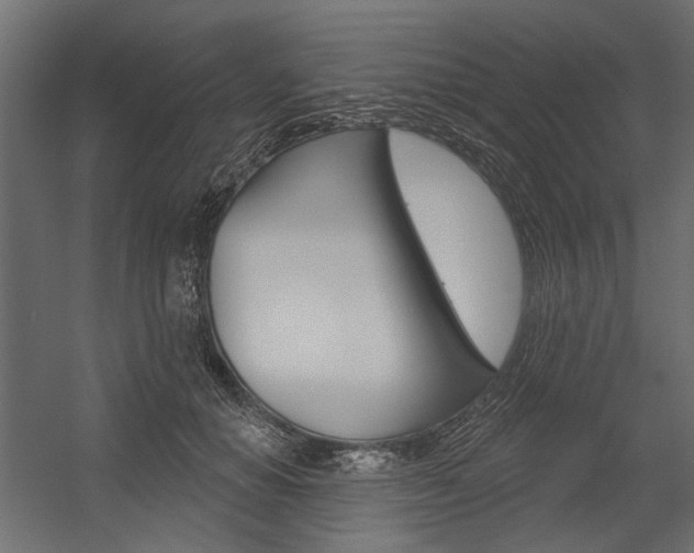 X0000054360654200507290806