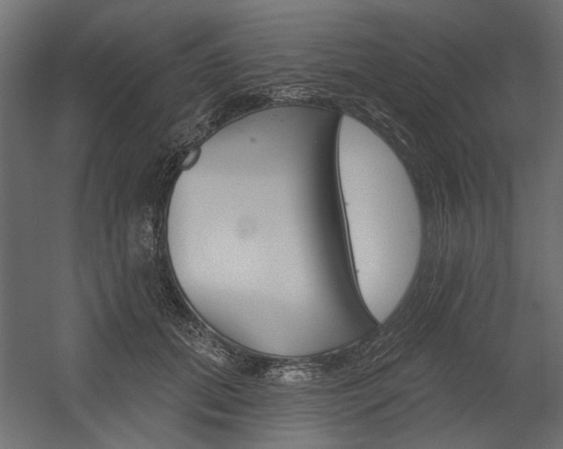 X0000054360655200507290806