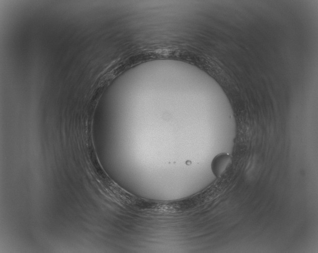 X0000054360656200507290806
