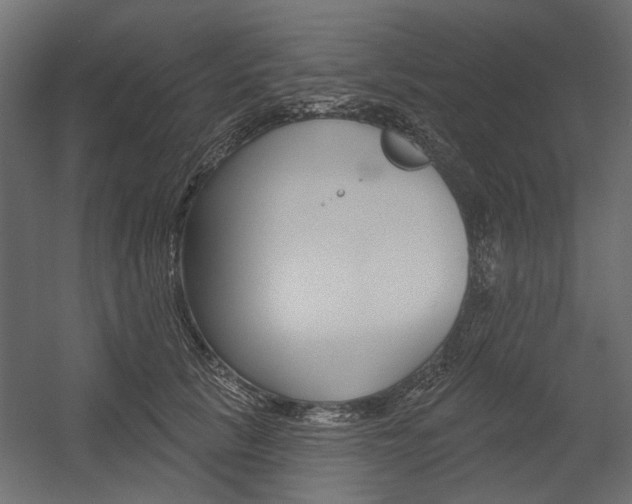 X0000054360657200507290806