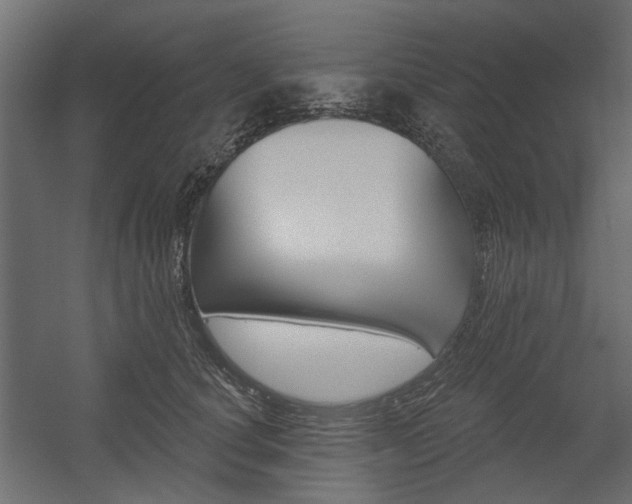 X0000054360660200507290806