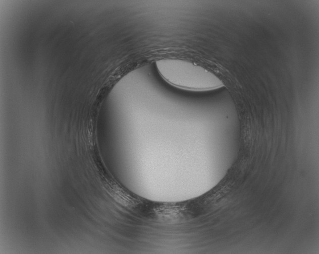 X0000054360661200507290806