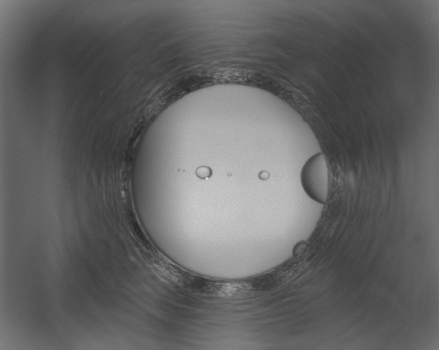 X0000054360663200507290806