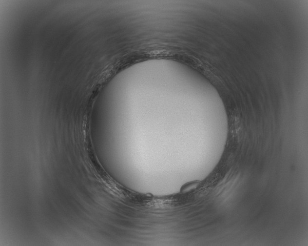 X0000054360664200507290806
