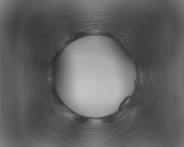 X0000054360665200507290806