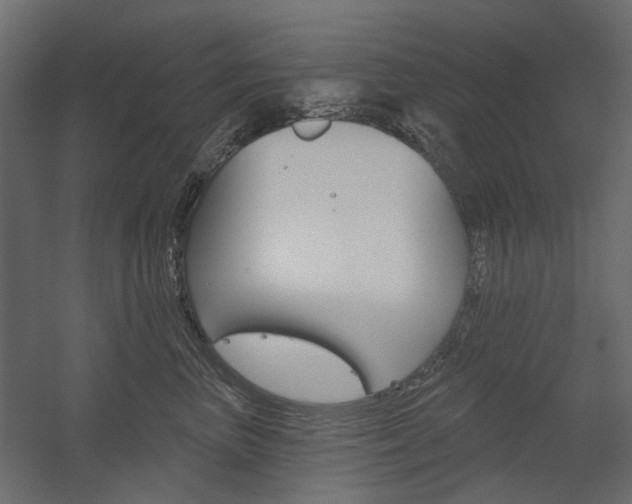 X0000054360667200507290806