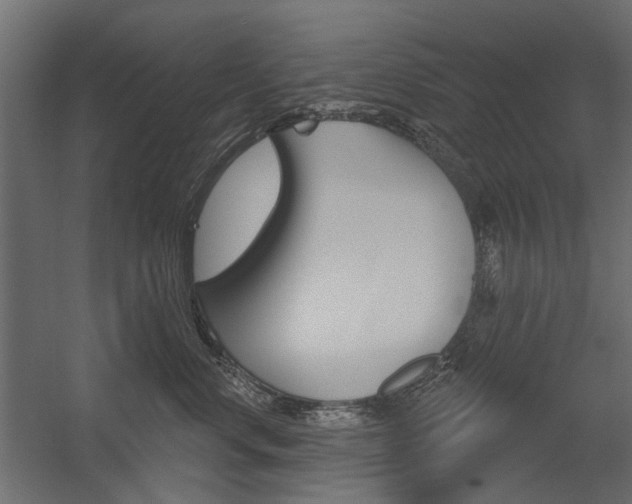 X0000054360668200507290806