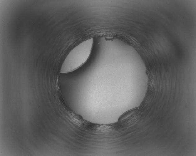 X0000054360669200507290806