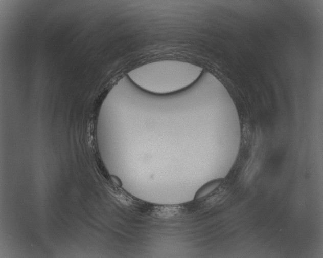 X0000054360671200507290806