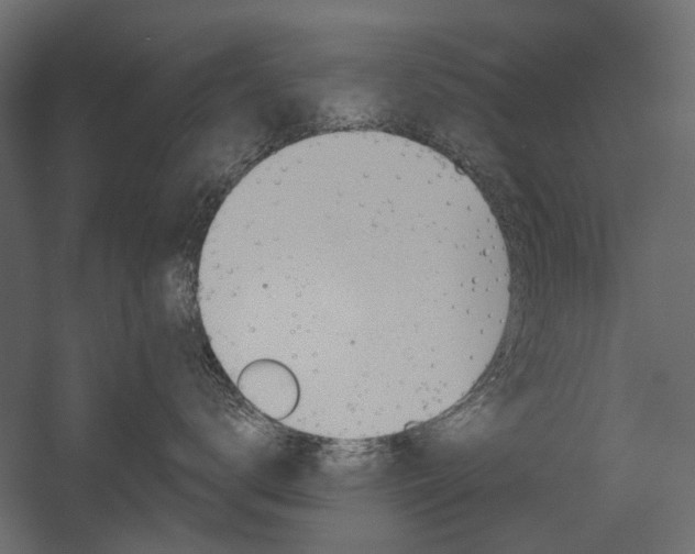 X0000054360672200507290806