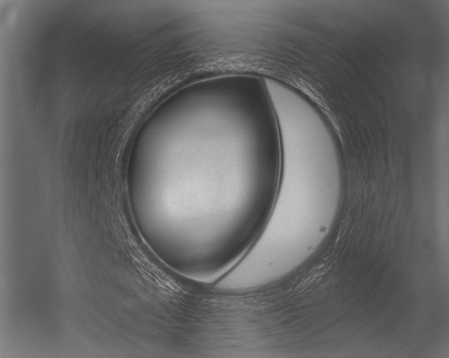X0000054360673200507290805