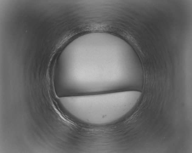 X0000054360674200507290805