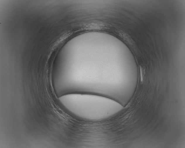 X0000054360675200507290805