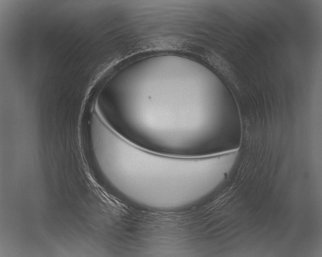 X0000054360676200507290805