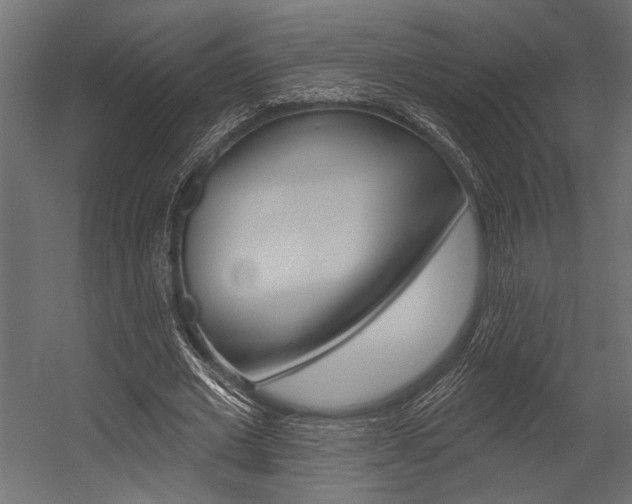 X0000054360677200507290805