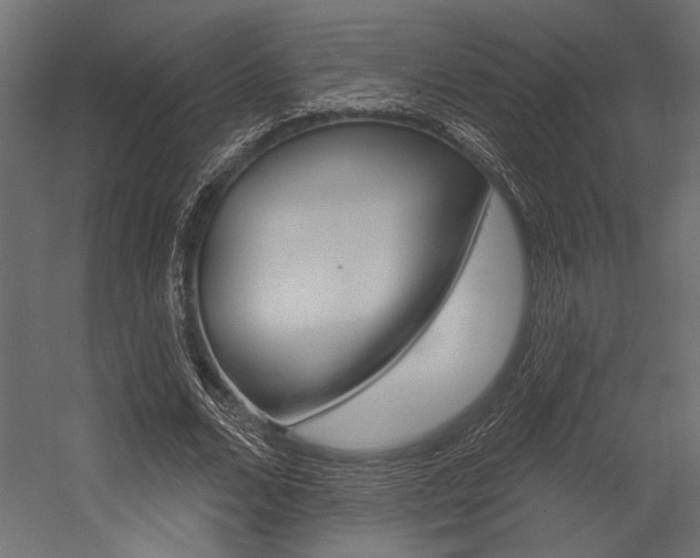 X0000054360680200507290805
