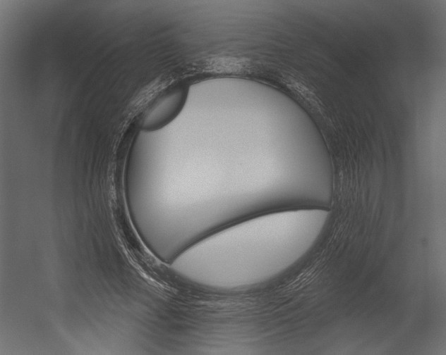 X0000054360682200507290805