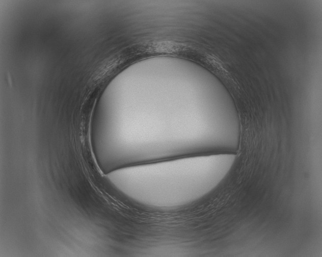 X0000054360683200507290805