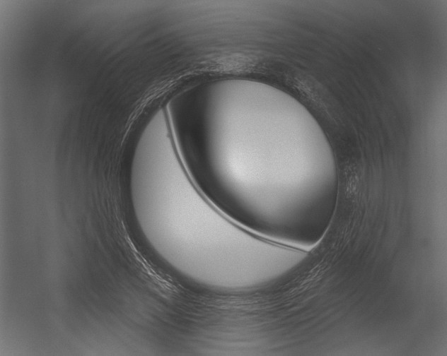X0000054360685200507290805