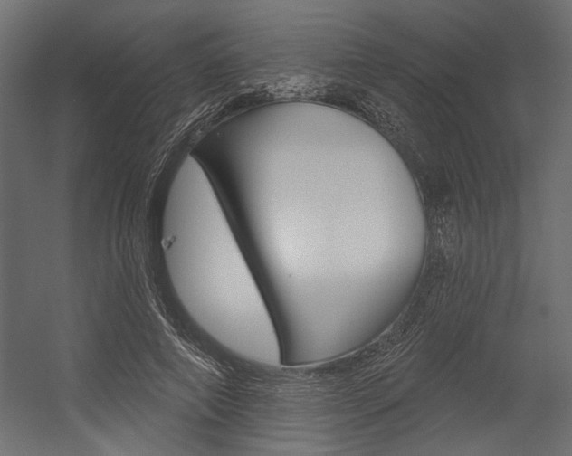 X0000054360690200507290805