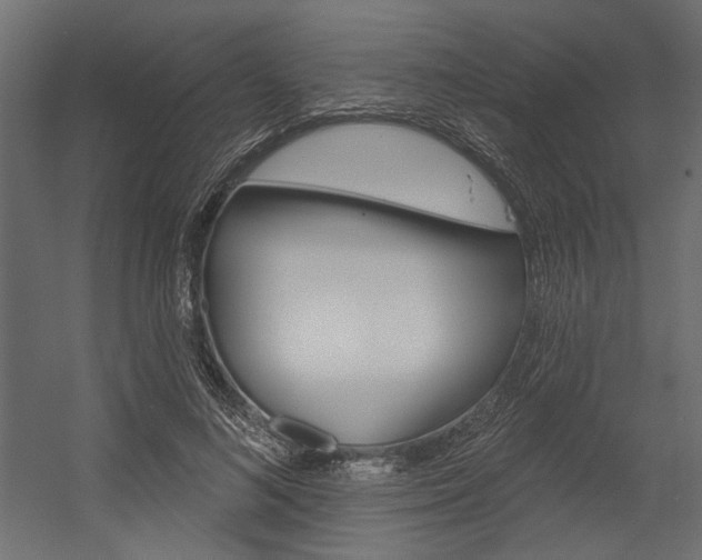 X0000054360692200507290805
