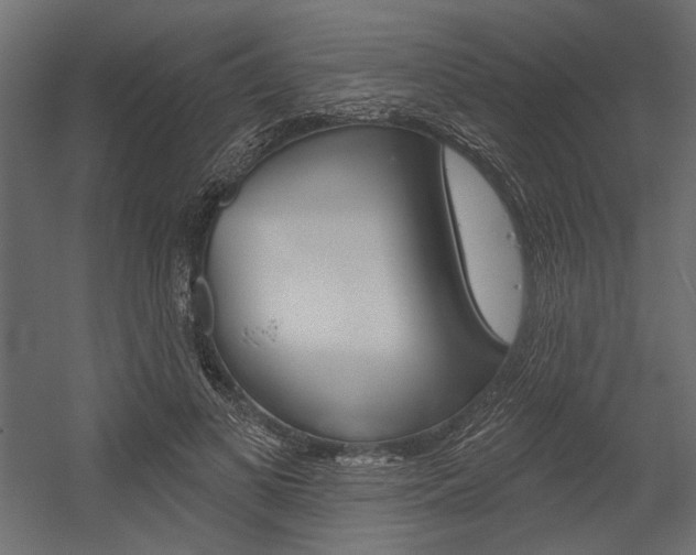 X0000054360693200507290805