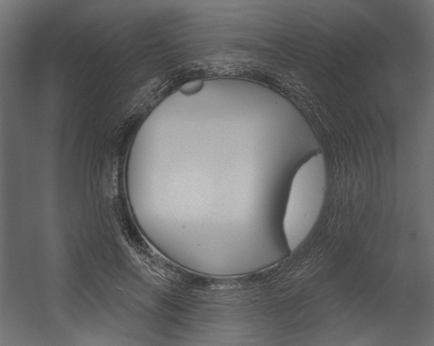 X0000054360694200507290805