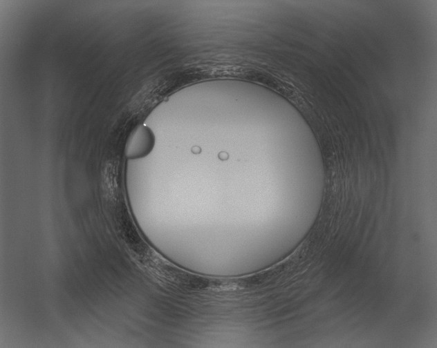 X0000054360695200507290805