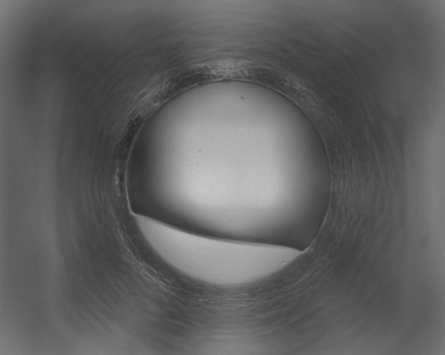 X0000054360696200507290805