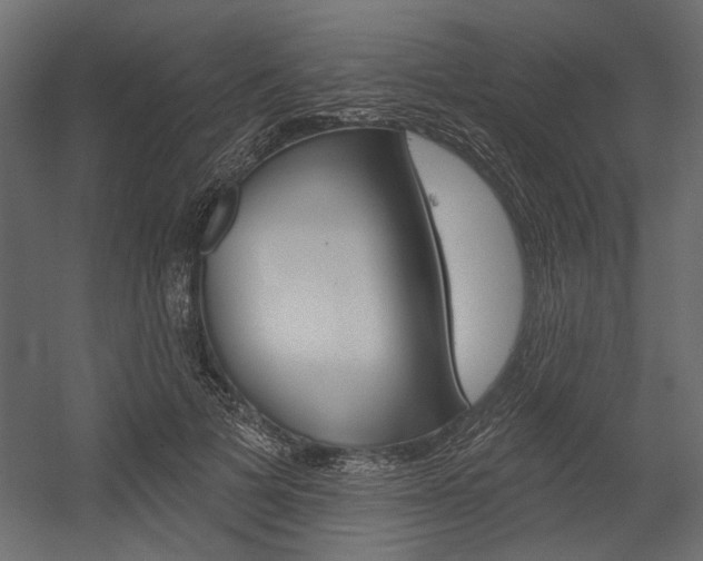 X0000054360697200507290805