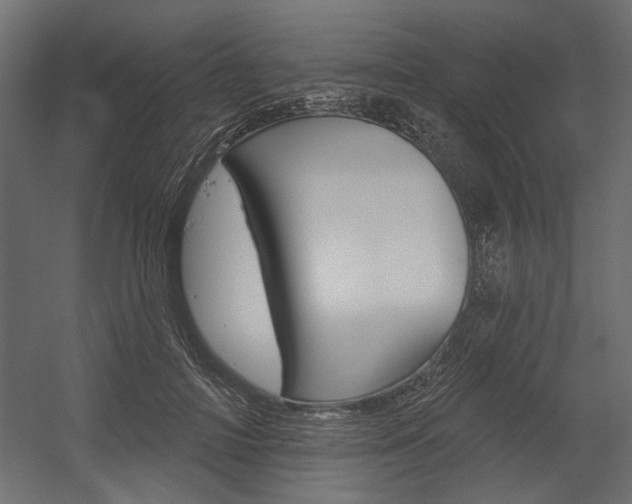 X0000054360698200507290805