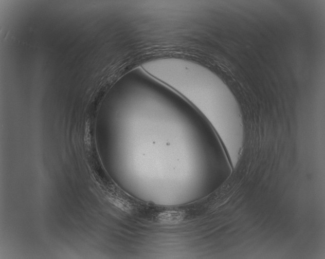 X0000054360700200507290805