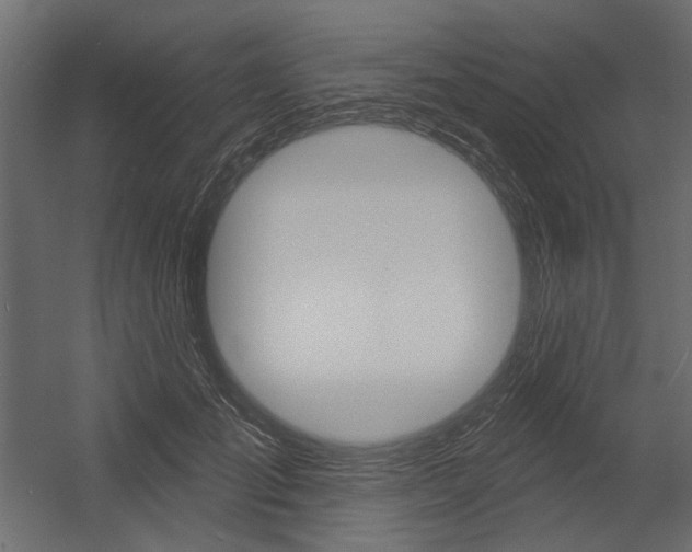 X0000054360701200507290805
