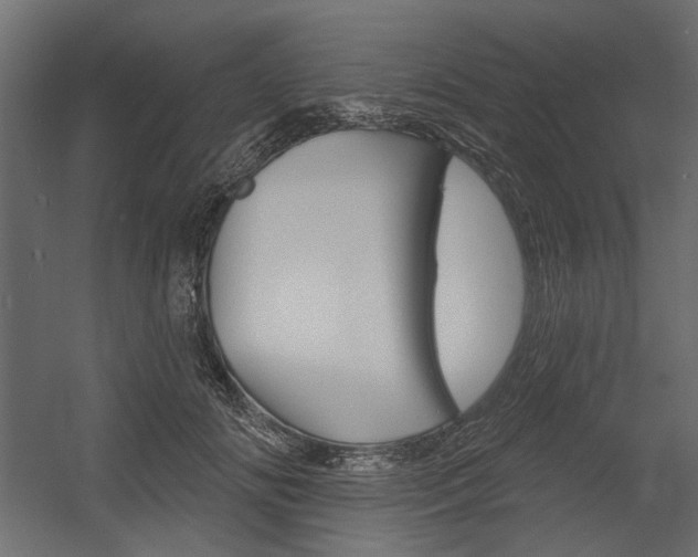 X0000054360702200507290805