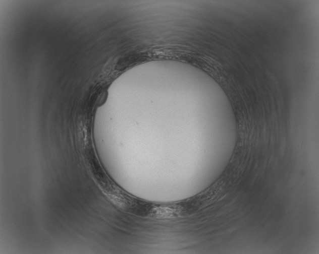 X0000054360703200507290805