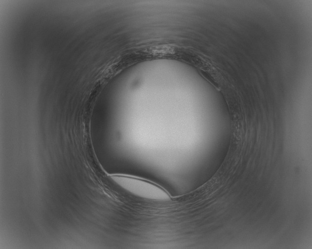 X0000054360704200507290805