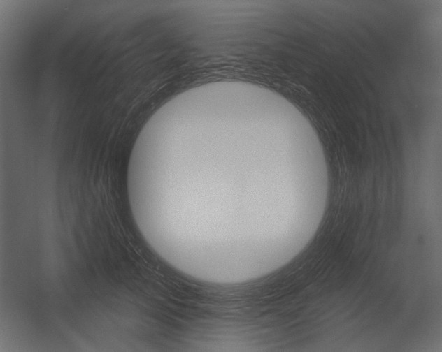 X0000054360705200507290805